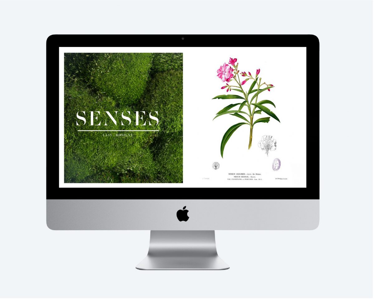 Midsummer Night’s Dream